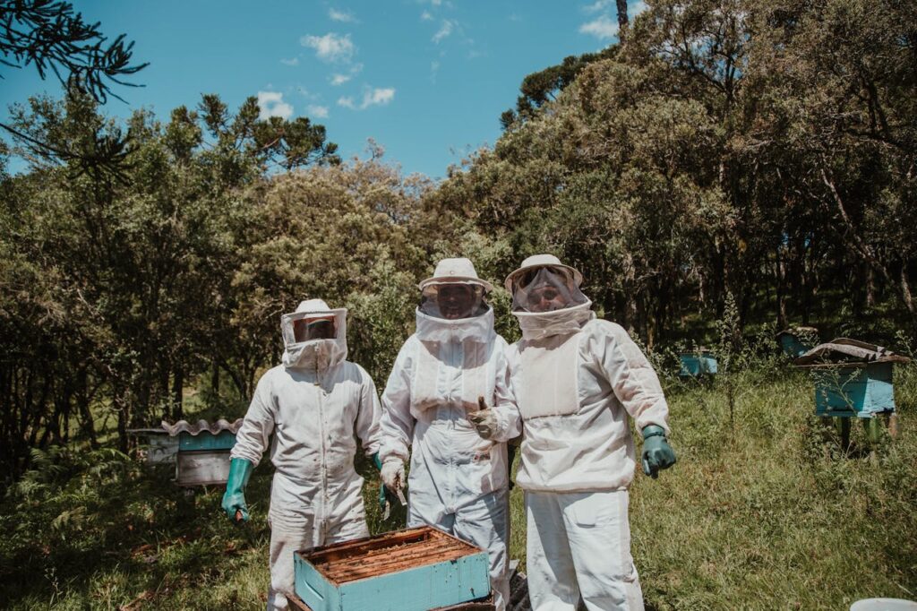 Bienenzucht Imker Natur Propolis Definition Was genau ist das