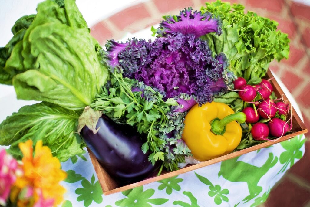 Gemüseernte im Garten Gemüse zum Kochen im Garten anbauen – frisch, gesund & nachhaltig